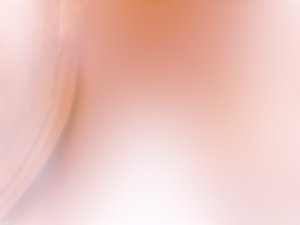 服务选型指南：找到最适合你的方案